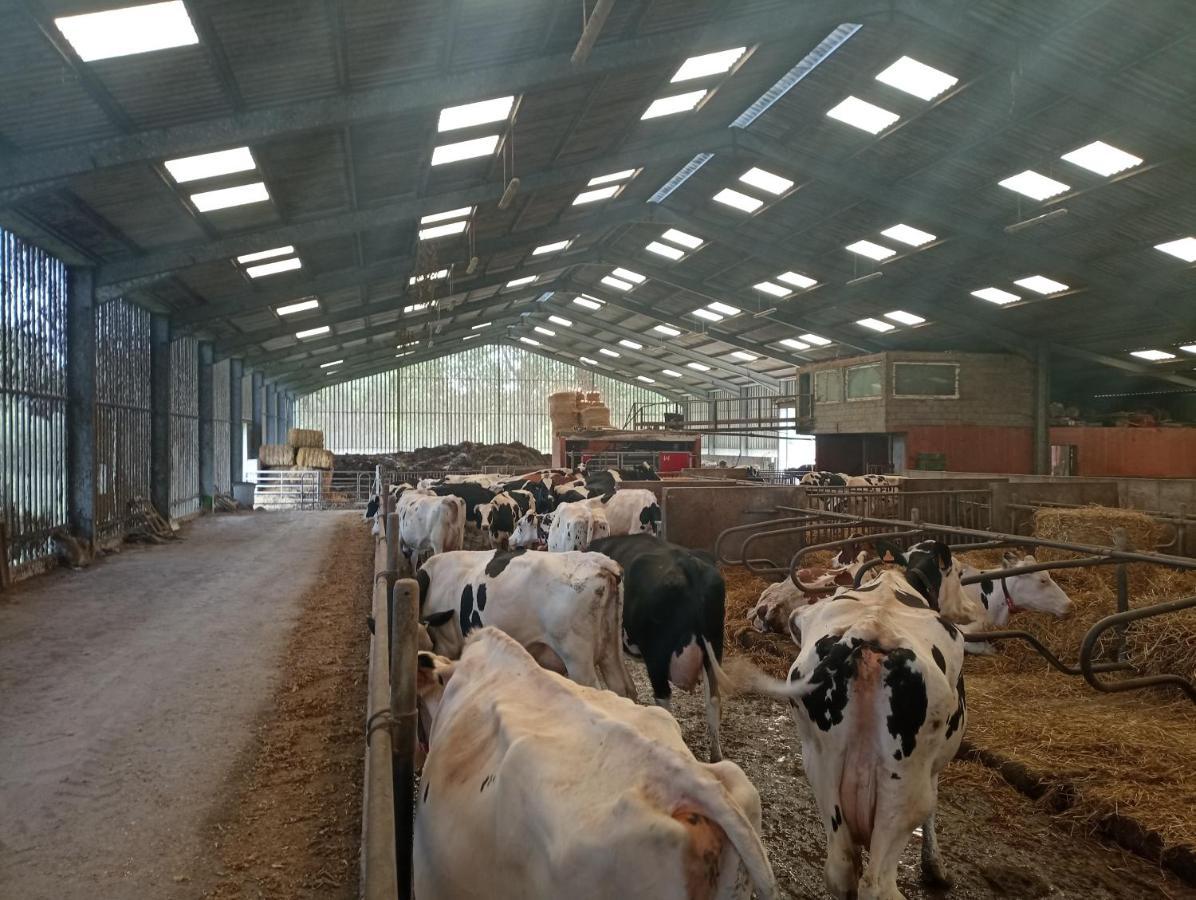Gite A La Ferme Chez Magali Escaudoeuvres Εξωτερικό φωτογραφία