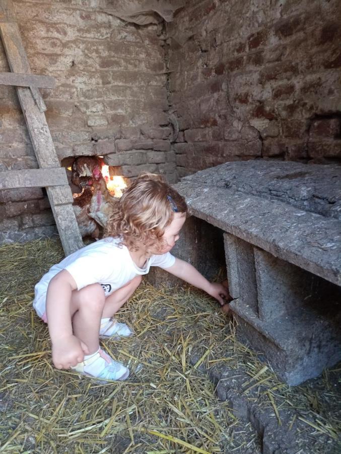 Gite A La Ferme Chez Magali Escaudoeuvres Εξωτερικό φωτογραφία