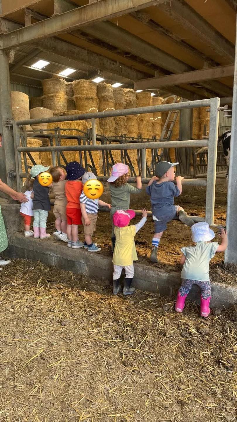 Gite A La Ferme Chez Magali Escaudoeuvres Εξωτερικό φωτογραφία